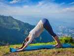 Surya Namaskar