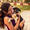 Pets are being cared for