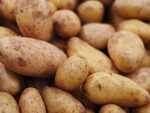 Potato skins