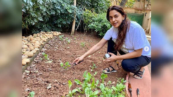 Juhi Chawla