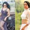 Article image for: <i class="tbold">yamuna shrinidhi</i>