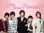 Boys over flowers