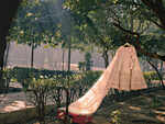 Hang it outdoors, on a tree