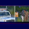 Article image for: Lockdown: Jammu cops organise <i class="tbold">final rites</i> of covid-19 patient