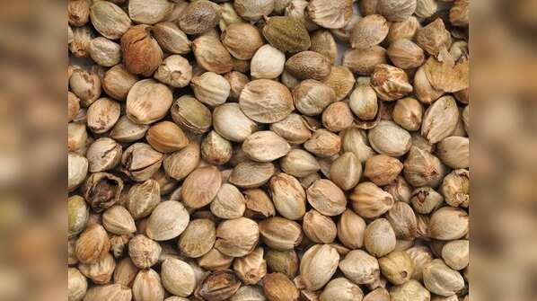 Hemp seeds
