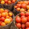 Tomatoes