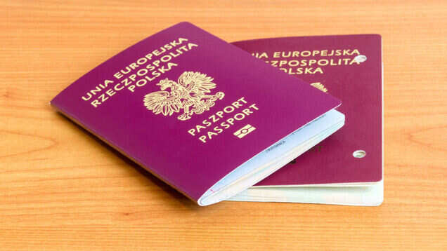 These 5 countries offer passports through descent because bloodline matters
