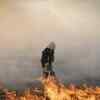 Article image for: Trending photos of <i class="tbold">firefighters</i> on TOI today