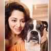 Article image for: Ridheema Tiwari shares how her pets shower <i class="tbold">unconditional love</i> on her