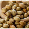 Health benefits of coriander seeds