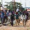 Migrant workers walk along a road in the outskirts of Chennai to return to their homes in Jharkhand