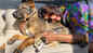 Priyanka Chopra Jonas enjoys warm cuddles and soaks up some LA sun with Gino and Diana amid COVID-19 lockdown