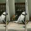 Article image for: When a cat made a fool out of a dog