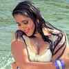 Article image for: Watch: Kajal Raghwan's Bhojpuri Sexy Video Song 'Chapa Chapa Chacha Jaan Kara Na Jiyaan'
