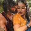 ​Arya - 'Kadamban'