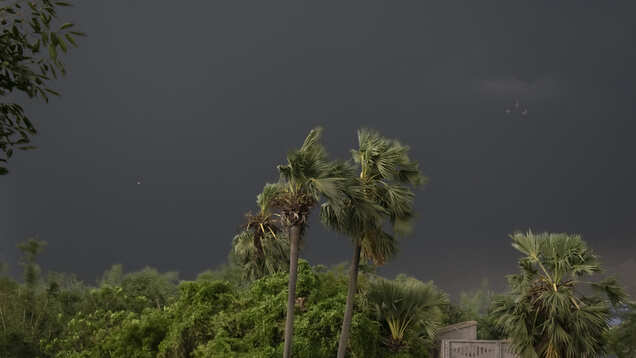 Maharashtra temporarily suspends Shramik Special trains to Odisha, Bengal due to Cyclone Amphan