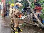 Teams removing trees at Bhadrak