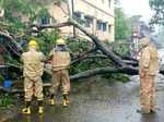 NDRF teams clearing uprooted trees