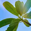Enjoy nature