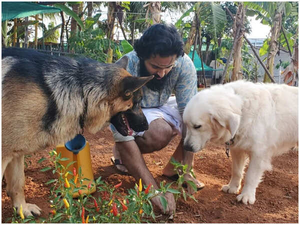 Unni Mukundan