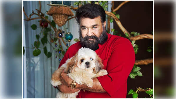 Mohanlal’s Bailey
