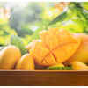 ​Mangoes
