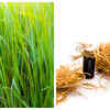 How Khus root water helps in relieving constipation