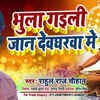 Article image for: Watch Popular Bhojpuri Devotional Video Song 'Bhula Gail Jan Devghar Me' Sung By Rahul <i class="tbold">Raj Chauhan</i>. Best Bhojpuri Devotional Songs of 2020 | Bhojpuri Bhakti Songs, Devotional Songs, Bhajans, and Pooja Aarti Songs