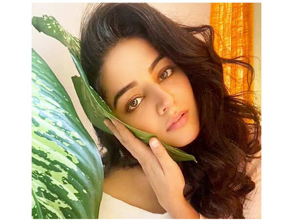 Wamiqa Gabbi Photos