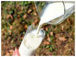 Myth: Consuming milk can lead to weight gain