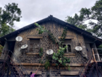 Matunga's tree tangle