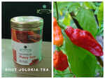 What is Bhut Jolokia?