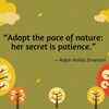 On learning from nature