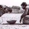 Article image for: <i class="tbold">irrfan</i> Khan had 'strange understanding of rain', reveals Babil sharing an unseen photograph of the late actor feeding a camel