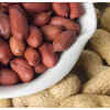 Rich in healthy fats