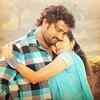 ​Appayya