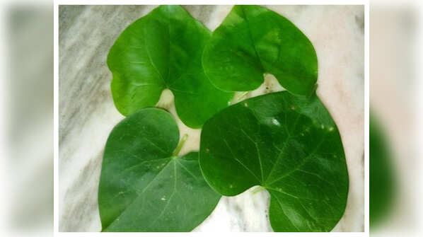 Benefits of Giloy