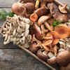 ​Mushroom