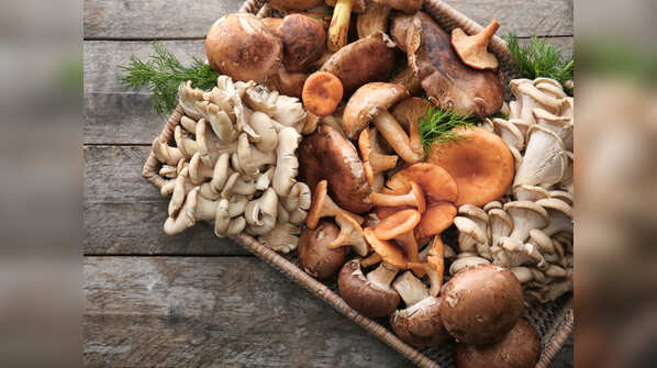 Mushroom