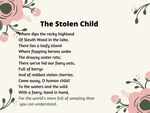 The Stolen Child