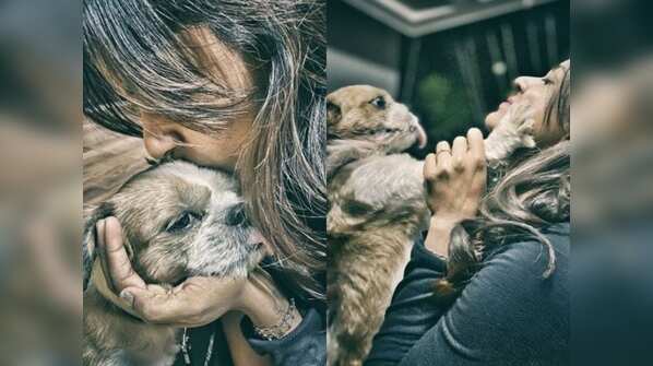Vithika Sheru and her #BrunoLove