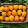 ​Other health benefits of mango leaves