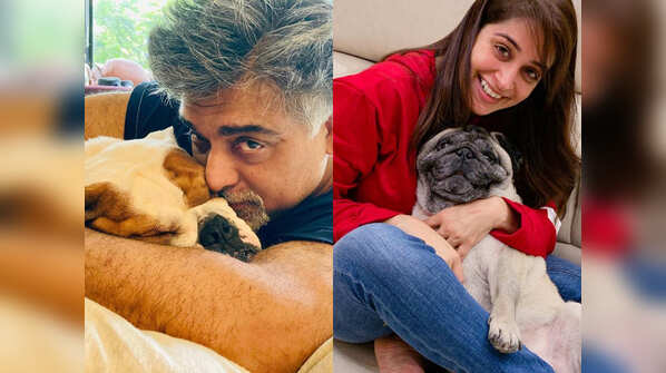 Ram Kapoor's funny banter with Popeye to Dipika Kakar's love for her Cuddles; a look at TV celebs' adorable pets
