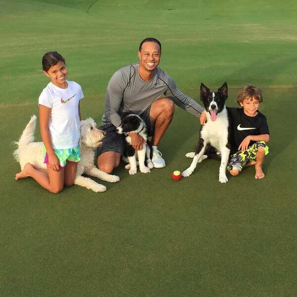Tiger Woods Stills