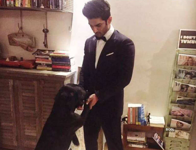 Meet adorable celebrity pet dads