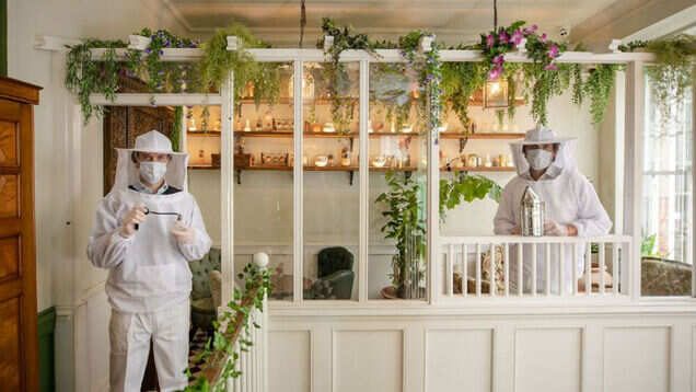 A London bar plans to dress up its bartenders as beekeepers to promote safety