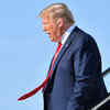 Article image for: H-1B visa: US lawmakers urge Trump to revoke temporary suspension