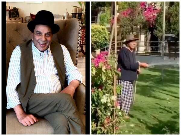 Dharmendra