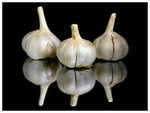 ​Garlic