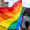 Article image for: Trending photos of <i class="tbold">lgbtq</i> on TOI today